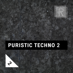 Riemann Kollektion Riemann Puristic Techno 2 WAV screenshot