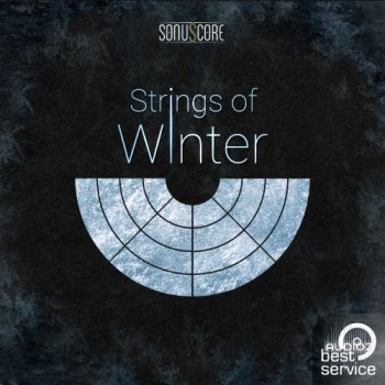 Best Service TO - Strings of Winter KONTAKT screenshot