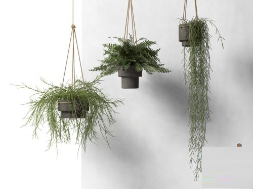 CGTrader – Hanging Pots with Plants 3D model