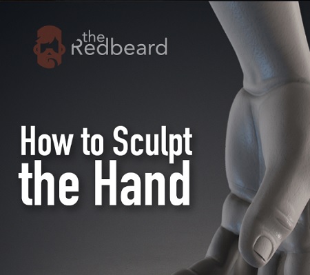 Gumroad – How to Sculpt the Hand