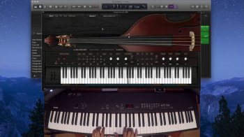 Ample Sound Ample Bass Upright III v3.00 macOS screenshot