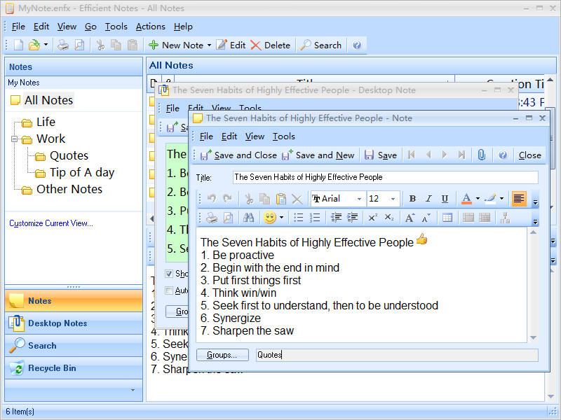 Efficient Notes 5.60 Build 546 Multilingual