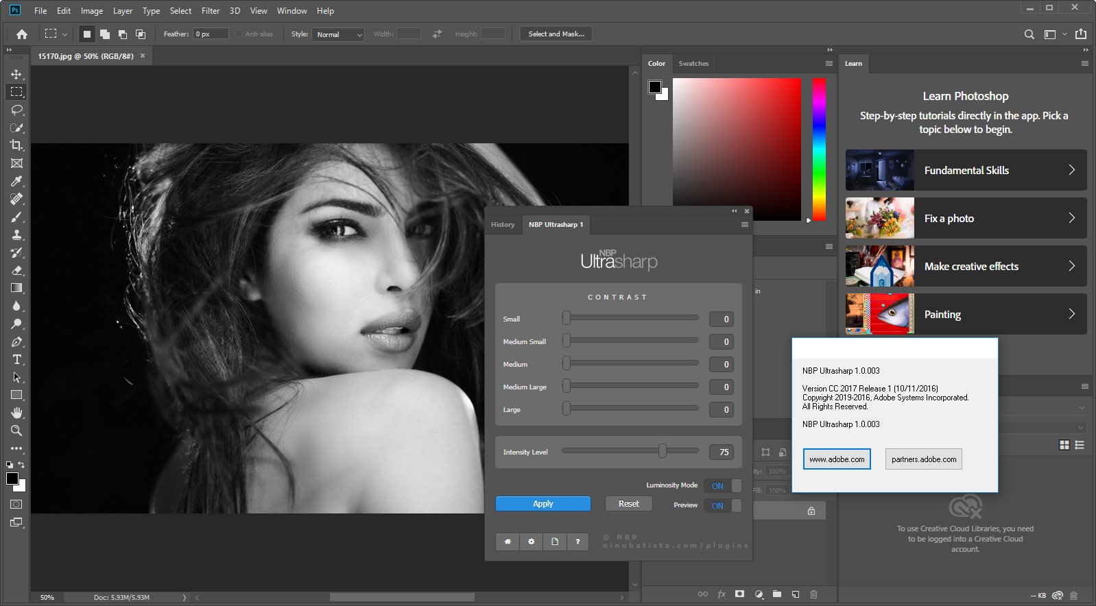 NBP Ultrasharp for Adobe Photoshop 1.0.003