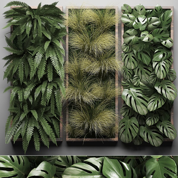 CGTrader – Vertical Garden 1 3D model