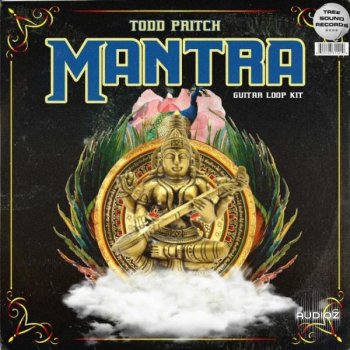 Todd Pritch Mantra Guitar Loop Kit WAV-DECiBEL screenshot