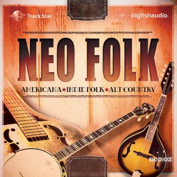 Big Fish Audio Neo Folk KONTAKT screenshot