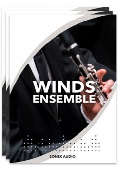 Sonex Audio Woodwinds Ensemble KONTAKT screenshot