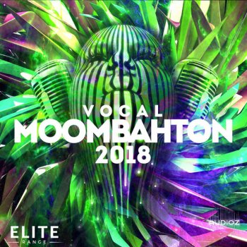 Mainroom Warehouse Vocal Moombahton 2018 MULTiFORMAT-DECiBEL screenshot