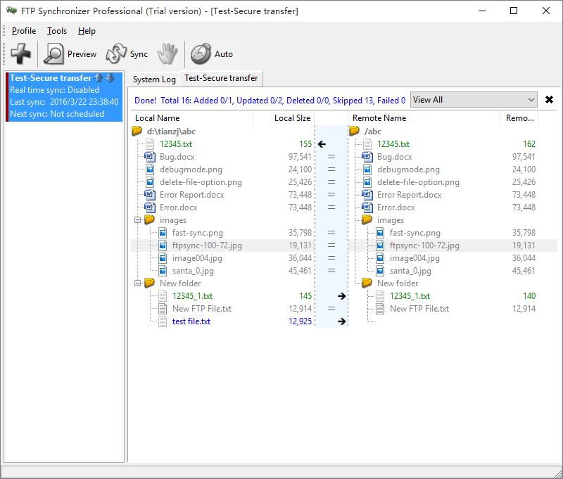 FTP Synchronizer Professional 7.3.25.1263 Multilingual 