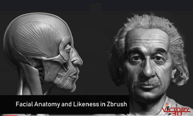 Zbrush Facial Anatomy and Likeness Character Sculpting