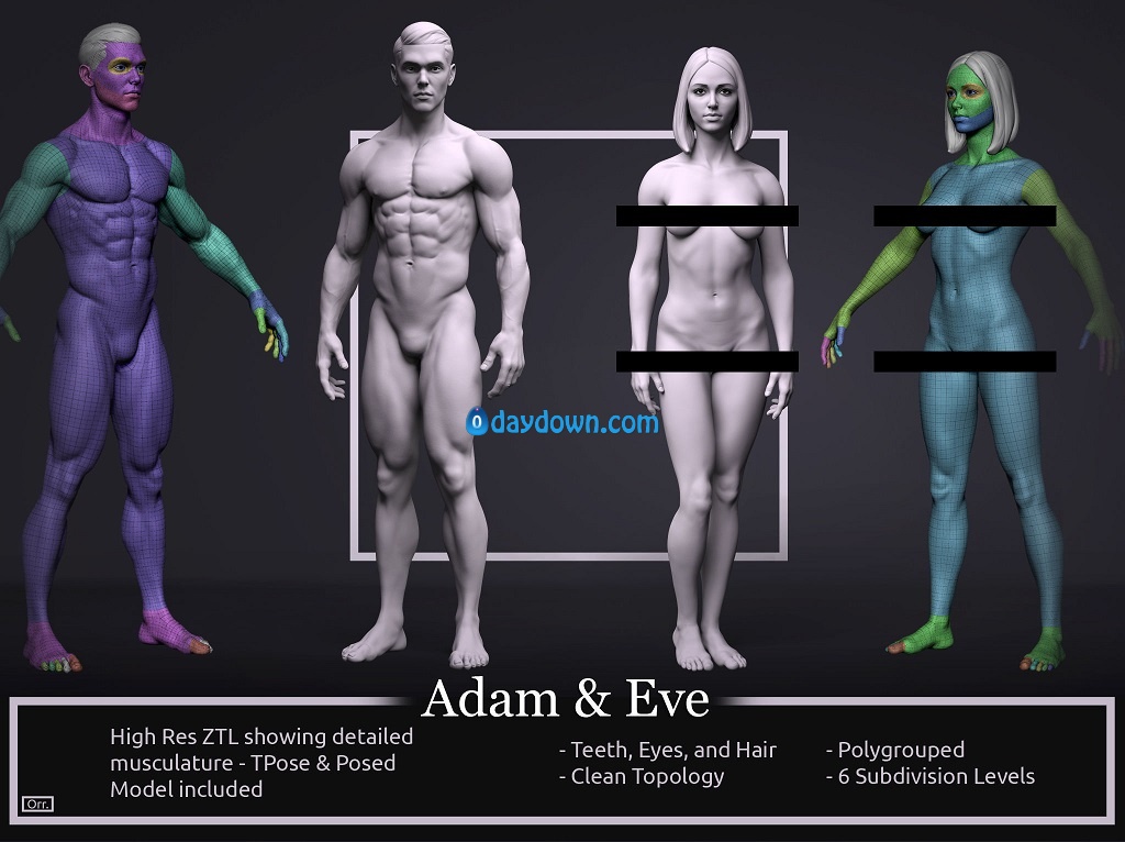 CGTrader – Basemesh Set – Adam and Eve 3D Model Collection