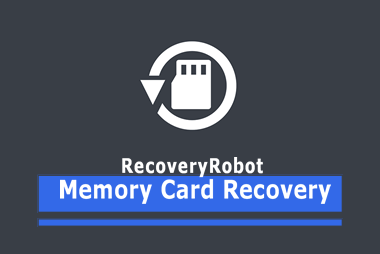 RecoveryRobot Memory Card Recovery Business 1.3.1 Multilingual