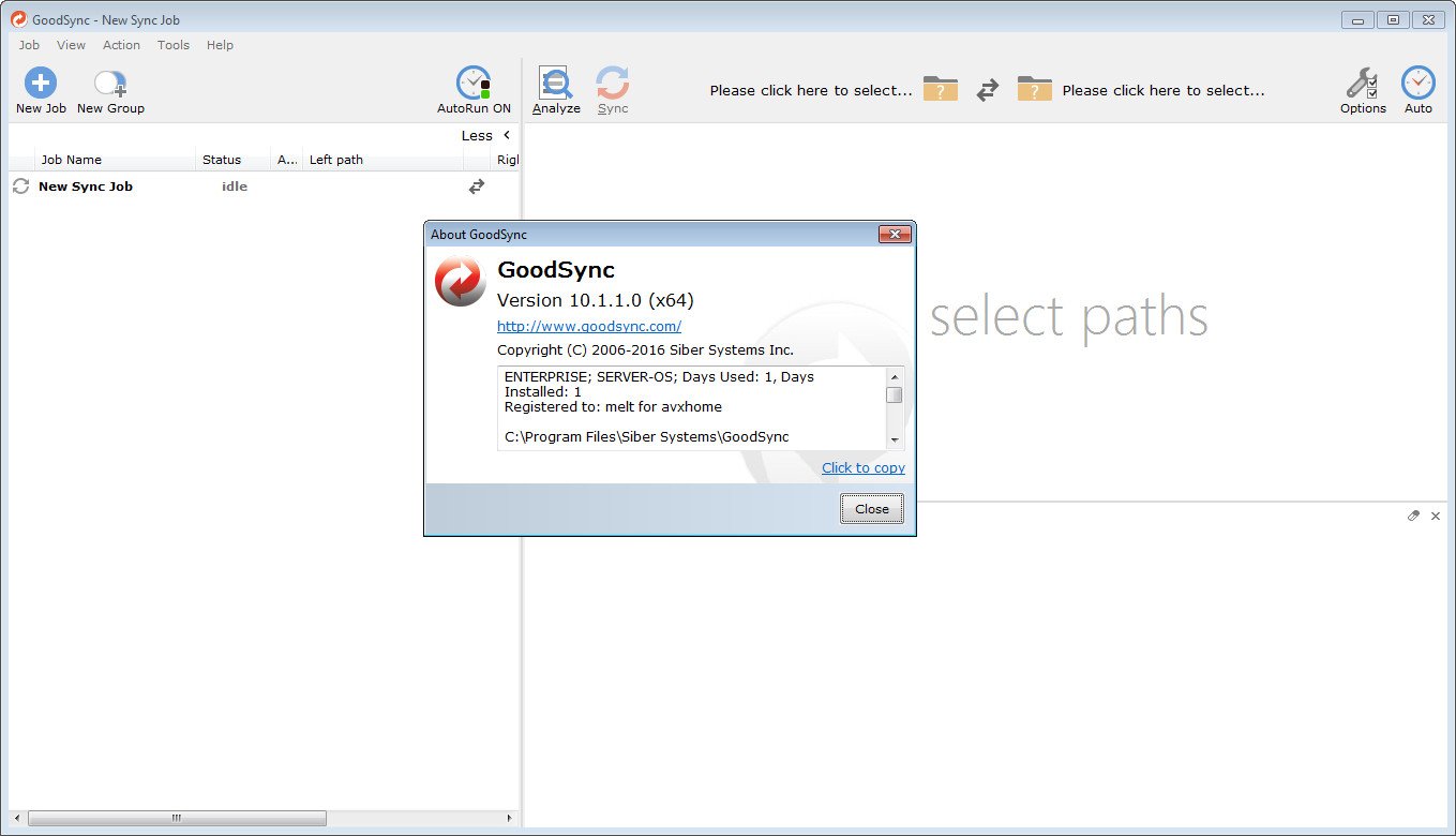 GoodSync Enterprise 10.1.1 Multilingual