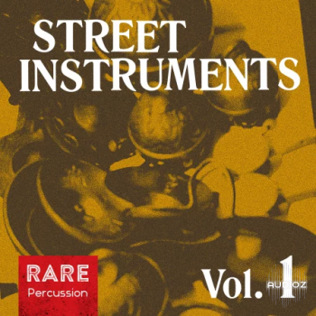 RARE Percussion Street Instruments Vol.1 WAV screenshot