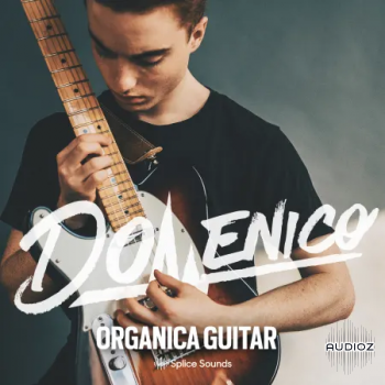 DOMENICO: Organica Guitar WAV screenshot