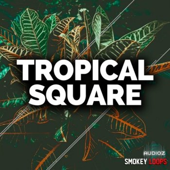 Smokey Loops Tropical Square WAV MiDi screenshot