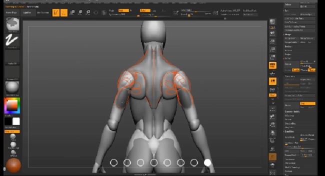 Gumroad – Female Anatomy Tutorial