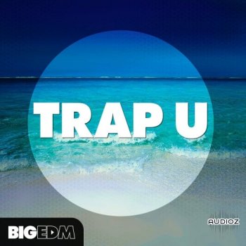 Big EDM - Trap U WAV MIDI Presets screenshot