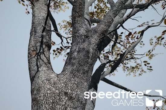 SpeedTree Games Indie 8.3.0 (x64)