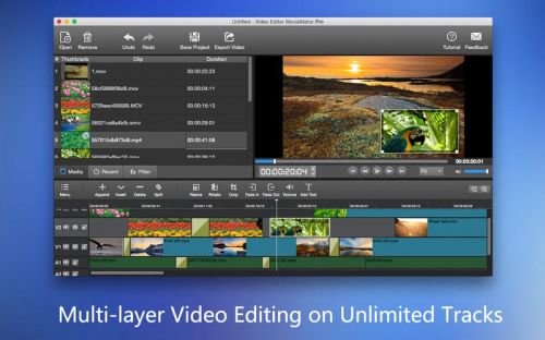 MovieMator Video Editor Pro 2.5.0 macOS