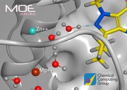 Molecular Operating Environment (MOE) 2019.0102