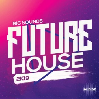 Big Sounds Future House 2K19 WAV MIDi Serum Presets screenshot