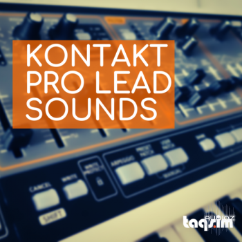 TAQS.IM Kontakt Pro Lead Sounds KONTAKT-DECiBEL screenshot