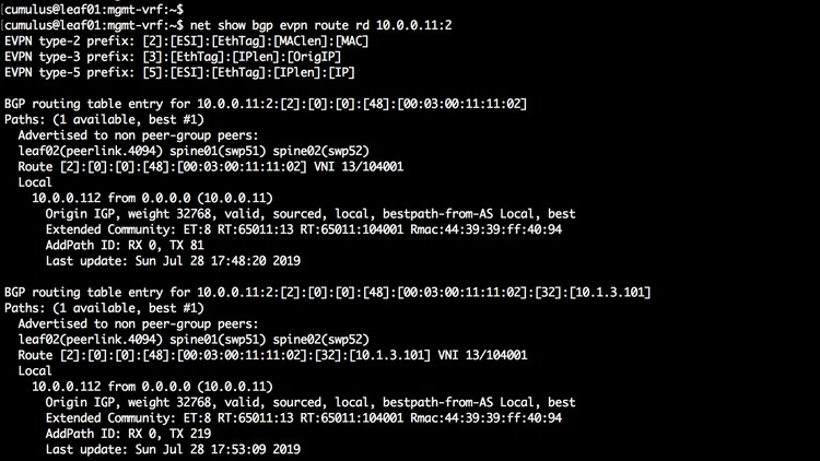 Cumulus Linux from Basics to Advanced VXLAN EVPN