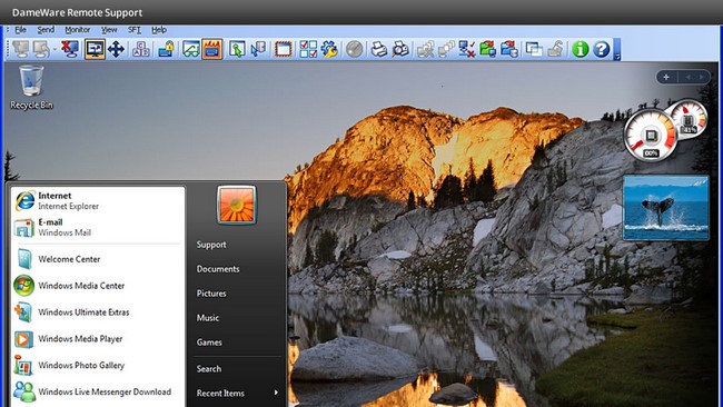 DameWare Remote Support 12.1.0.96 x86/x64