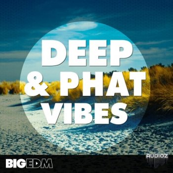 Big EDM Deep And Phat Vibes WAV MiDi SYLENTH1 Presets screenshot