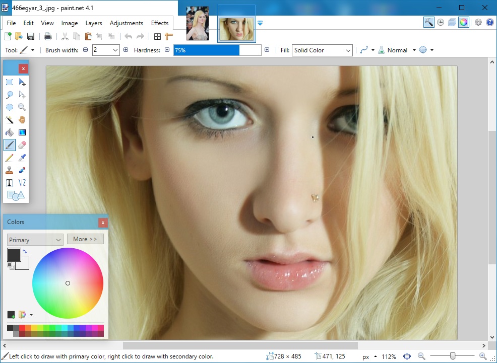 Paint.NET 4.1 Multilingual