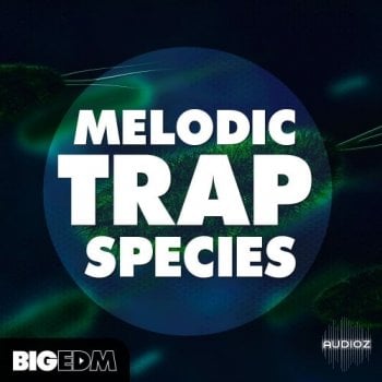 Big EDM Melodic Trap Species WAV MIDi PRESETS