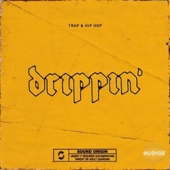 Origin Sound Drippin: Trap and Hip Hop WAV-DECiBEL screenshot