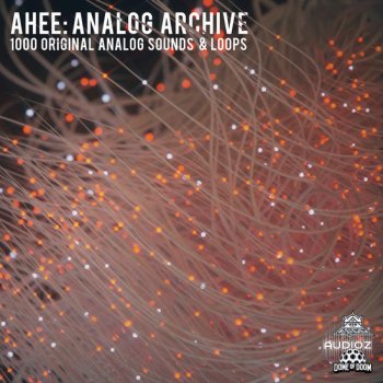 Splice Ahee: Analog Archive WAV-DECiBEL