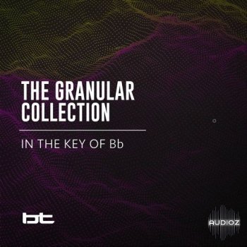 BT The Granular Collection In The Key Of Bb WAV