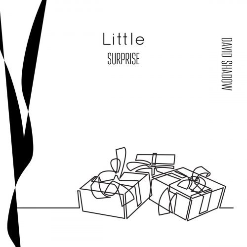 David Shadow – Little Surprise (2020)