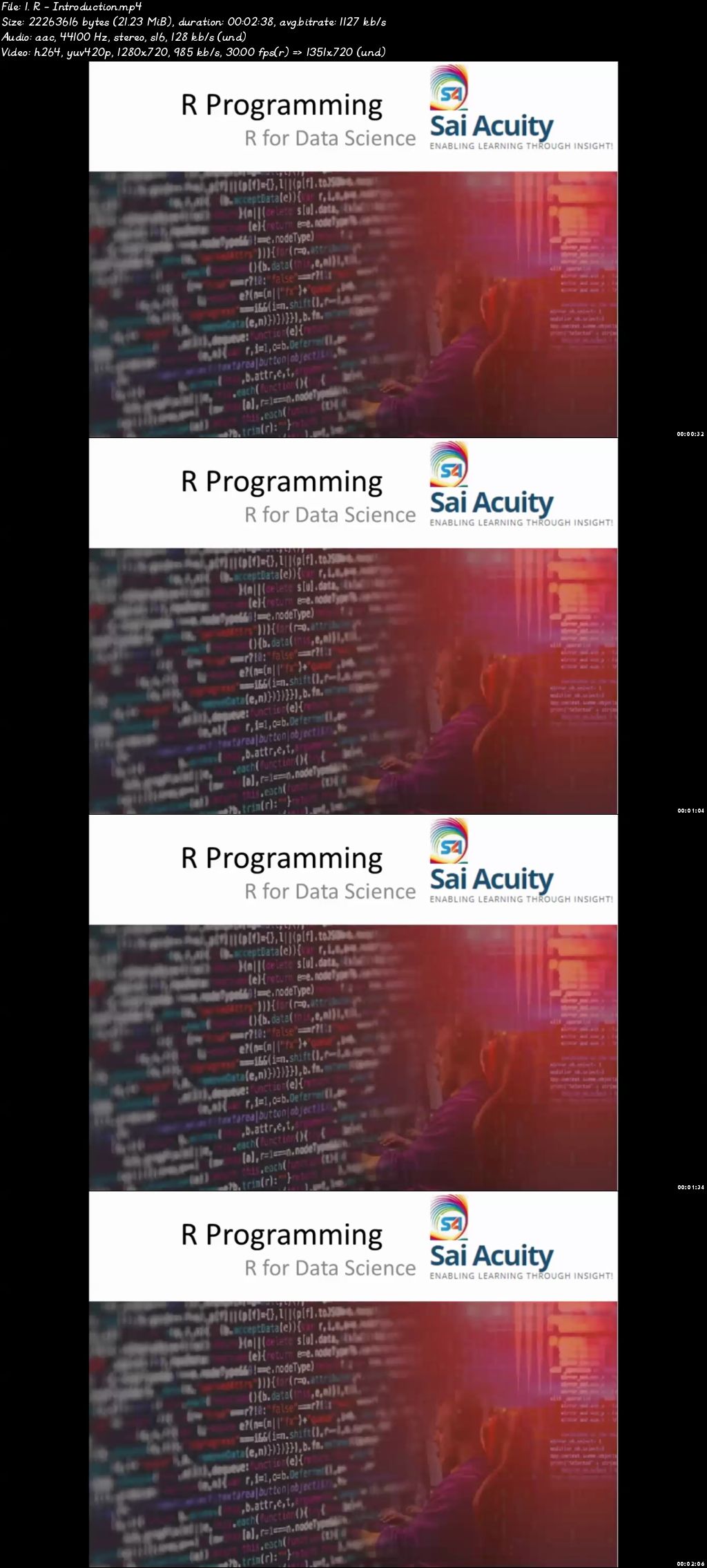  R Programming 