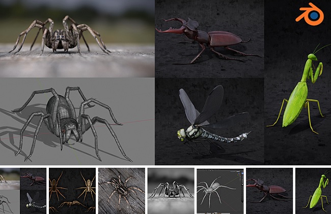 Blender Market – Insect And Spiders Creation Full Course