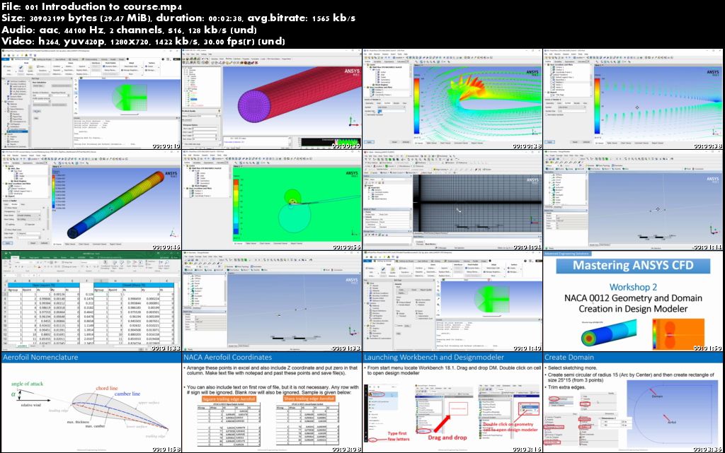 Mastering Ansys CFD (Level 1) 