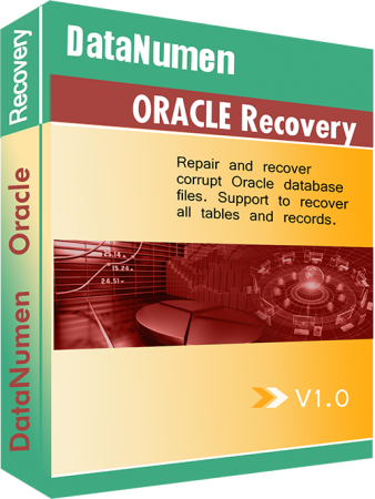 DataNumen Oracle Recovery 1.0.0.9