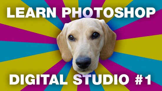 Learn Photoshop & Make a Meme: Introducing the Interface, Layers, Cutouts & Shapes