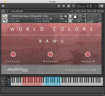 Evolution Series World Colors Bawu v1.0 KONTAKT screenshot