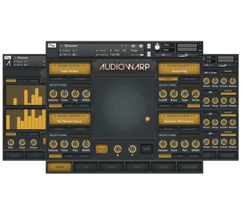 Audiowarp Blossom KONTAKT-DECiBEL screenshot