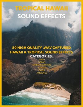 Jakob Owens Productions Tropical Hawaii Sound Effects Pack Vol.1 WAV screenshot