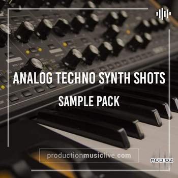 PML - Analog Techno Synth Shots - WAV screenshot