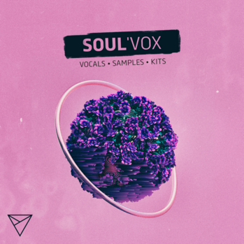 Unmute SoulVox WAV MiDi-DISCOVER screenshot