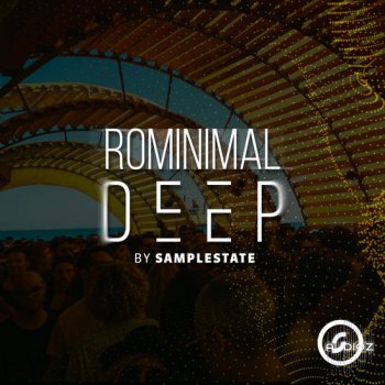 Samplestate Rominimal Deep MULTiFORMAT-DECiBEL screenshot