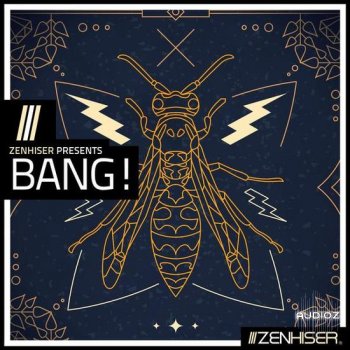 Zenhiser Bang MULTiFORMAT-DECiBEL screenshot