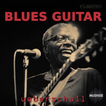 Ueberschall Blues Guitar ELASTIK screenshot