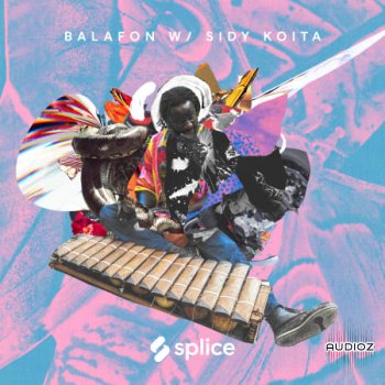  Splice Sessions Balafon with Sidy Koita WAV screenshot